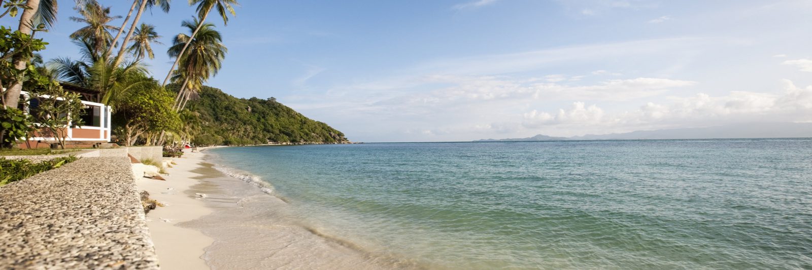 beach sea and palm trees